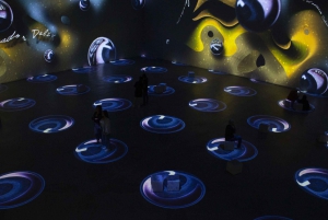 Barcelona: Dalí Cybernetic Exhibition Entry Ticket