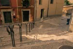 Barcelona: Girona Private Day Trip with Local Guide