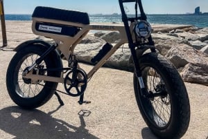 バルセロナ：E-ファットバイクのレンタルで、街を楽々と探索
