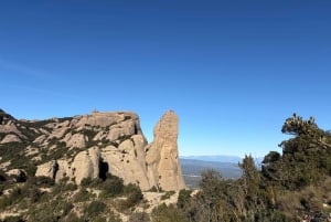 Barcelona: Tidlig morgen Montserrat-tur med kloster og fottur