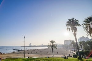 Barcelona eBike Tour with Wine and Tapas Experience