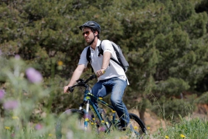 Barcelona: Electric Mountain Bike Ride with Panoramic Views
