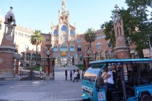 Barcellona: tour in tuk tuk elettrico
