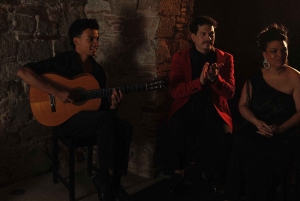 Barcelona: espetáculo de flamenco íntimo no Las Brujas Club