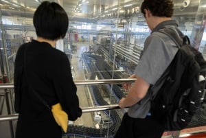 Барселона: экскурсия по пивоварне Estrella Damm с дегустацией