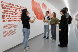 Барселона: экскурсия по пивоварне Estrella Damm с дегустацией