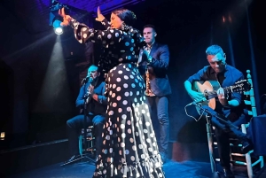 バルセロナ：エル パライグアでのドリンク付き特別フラメンコ ショー