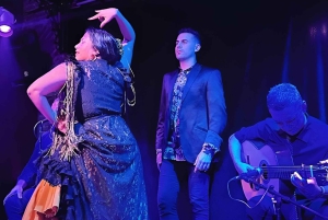 バルセロナ：エル パライグアでのドリンク付き特別フラメンコ ショー