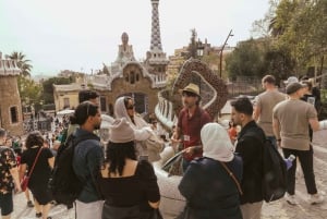 Barcelona: Exclusive Park Güell Private Guided Tour