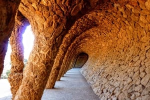 Barcelona: Exclusive Park Güell Private Guided Tour