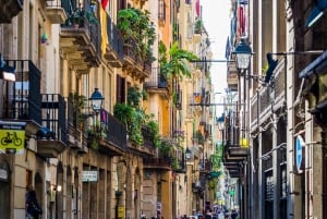 Barcelona: Explore the Gothic Quarter with a Local