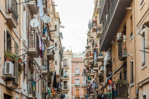 Barcelona: Explore the Gothic Quarter with a Local