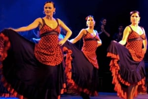 Barcelona: Flamenco in El Patio Andaluz met optioneel diner