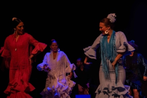 Barcelona: Flamenco no El Patio Andaluz com jantar opcional