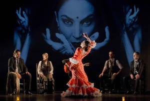 Barcelona: Flamencodanskurs för nybörjare på Teatro Flamenco