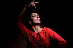 Barcelona: Flamencodanskurs för nybörjare på Teatro Flamenco