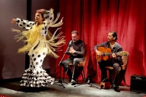 Barcelona: Flamenco Premium Show und Tour Gitarrenmuseum