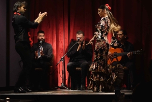 Barcelona: Flamenco Premium Show ja kiertue kitaramuseossa.