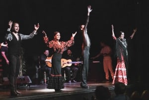 Barcelona: Entrébillet til flamencoshow på Rådhusteatret