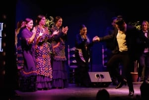 Barcelona: Flamencoshow på Stadshusteatern