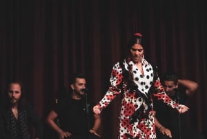 Barcelona: Flamenco Show im Palau Dalmases