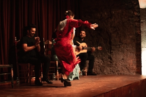Barcelona: Flamenco Show at Palau Dalmases