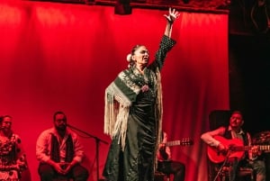 Barcelona: Espetáculo de Flamenco no Teatro