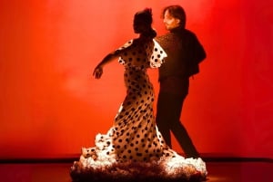 Barcelona: Espetáculo de Flamenco no Teatro