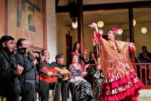 Barcelona: Flamenco Show with Dinner at Tablao de Carmen