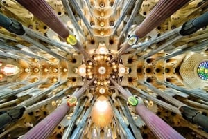 Barcelona: Full-Day Guided City Highlights Tour