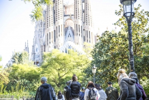 Barcelona: Full-Day Historical and Gaudí Highlights Tour