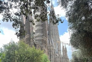 Barcelona in 1 Day: Sagrada Familia, Park Guell & Pickup