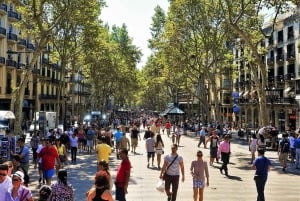 Barcelona in 1 Day: Sagrada Familia, Park Guell & Pickup