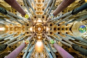 Barcelona in 1 Day: Sagrada Familia, Park Guell & Pickup