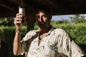 Barcelona: Sjov og uhøjtidelig vinsmagning på tagterrasse