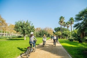 barcelona: Gaudi Highlights eBike-tur