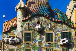 Barcelona: Gaudi Private City Tour with Sagrada Familia