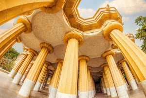 Barcelona: Park Güell guidet tur med fast-track billet