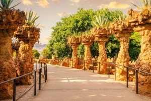 Barcelona: Park Güell guidet tur med fast-track billet