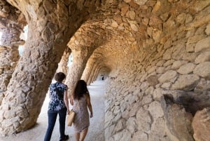 Barcelona: Park Güell Guided Tour with Skip-the-Line Ticket