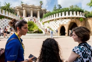 Barcelona: Visita guiada al Park Güell con ticket de entrada sin colas