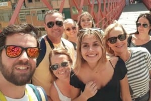 Barcelona: Girona Game of Thrones Private Tour with Pickup