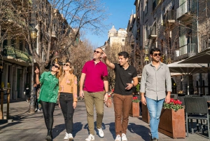 Barcelona: Girona: prywatna wycieczka z przewodnikiem szybkim pociągiem