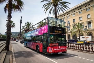 Barcelona: Go City All-Inclusive Pass 45+ nähtävyydellä: Go City All-Inclusive Pass 45+ nähtävyydellä