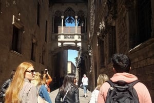 Barcelona: Go City Explorer Pass - Choose 2 to 4 Attractions