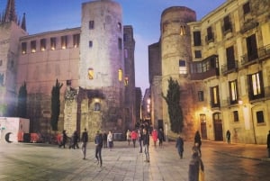 Barcelona: Gotische wijk & El Born verborgen parels wandeltour