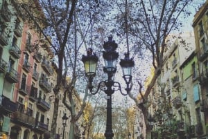 Barcelona: Gotische wijk & El Born verborgen parels wandeltour