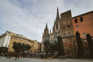 Barcelona: Gothic Quarter Gems Private Walking Tour