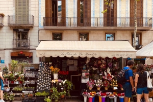 Barcelona: tour guiado pelo Bairro Gótico com Flamenco e Tapas