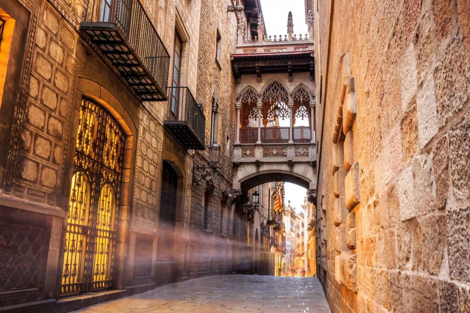 Barcelona Gotische wijk privé wandeltour
